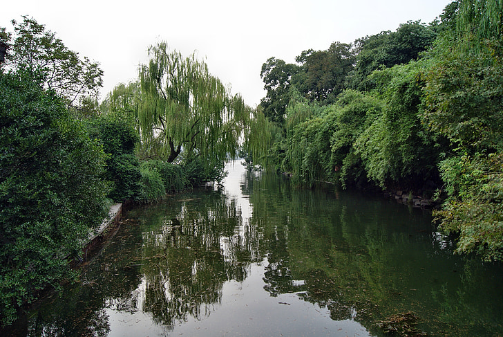 Taman, Kolam, air, refleksi, pohon, hijau, Cina