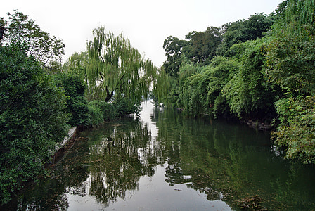 trädgård, dammen, vatten, reflektioner, träd, grön, Kina