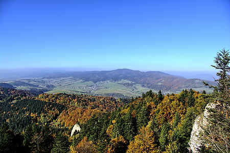 hory, Pieniny, krajina, Polsko, strom, nahoru, podzim