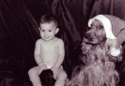 κόκερ Σπάνιελ, σκύλος, το παιδί, Χαριτωμένο, κατοικίδια ζώα, μικρό, ευτυχία