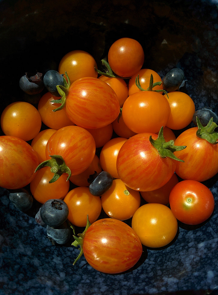 tomate, vegetal, jardim, Homegrown, comida, tomate, fresco