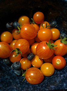 tomatoes, vegetable, garden, homegrown, food, tomato, fresh