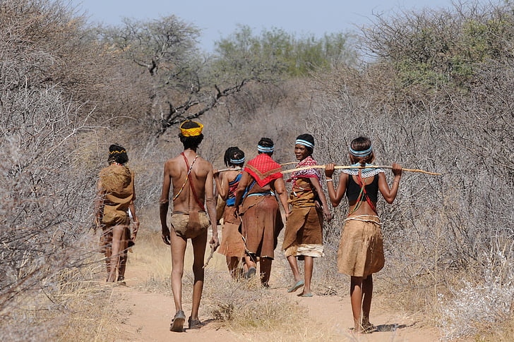 Botswana, Bushman, gruppo, raccogliere, cultura indigena, tradizione, riunione di scuola