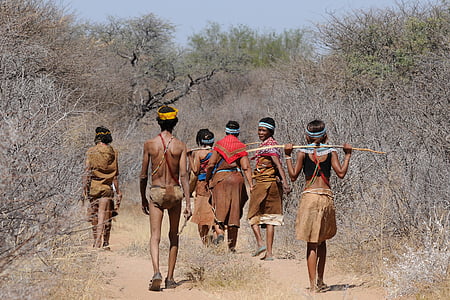 Botswana, Buschmann, Gruppe, sammeln, indigene Kultur, Tradition, Heimkehr