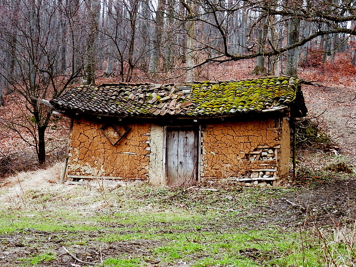 metsas, salongi, mahajäetud, Serbia, retro, vana maja, Vintage