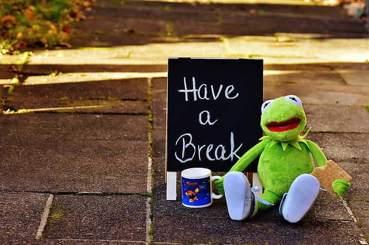 Kermit, Puchar, wypić kawę, przerwa, przerwa na kawę, filiżanka kawy, śmieszne