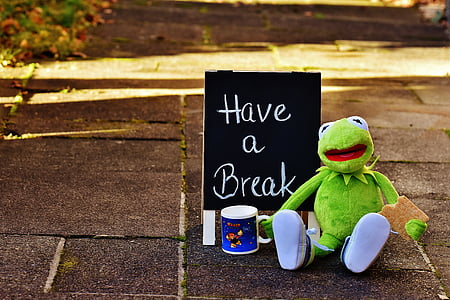 Kermit, taza, bebida café, rotura, Pausa café, taza de café, gracioso
