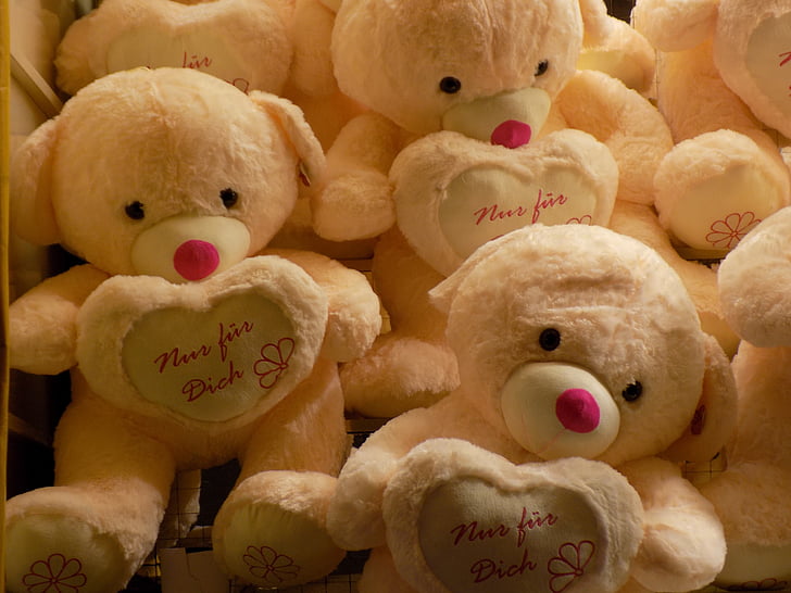 Teddy bears, animale di peluche, mercato di Kramer, sciolto, prezzi, negozio di sacco, mercato di anno