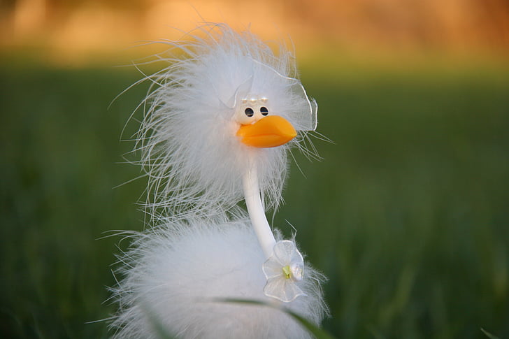 pernikahan, kebahagiaan, putih, burung unta