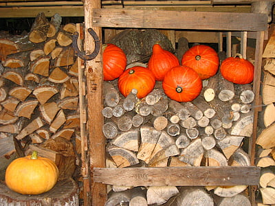 horseshoe, wood pile, pumpkin, autumn, halloween, wood - Material, season