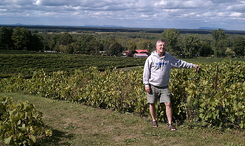 vingårder, Québec, vingården, romantikk, Canada, person, mann