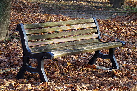 bench, park, autumn, leaf, nature, outdoors, park - Man Made Space