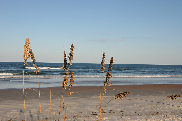 stranden, sand, bølger, hav, gresset, ferie, Florida