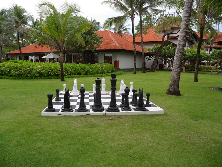 jeu d’échecs, jardin, Jeux