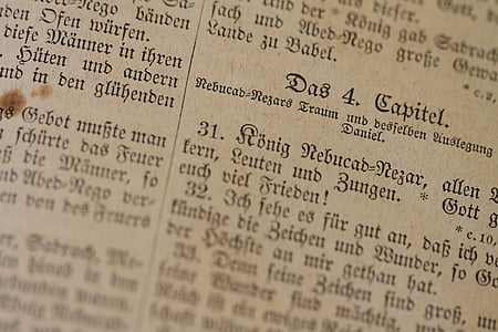 Sveto pismo, stari, Luther, knjiga, društva, krščanstvo, verjeti