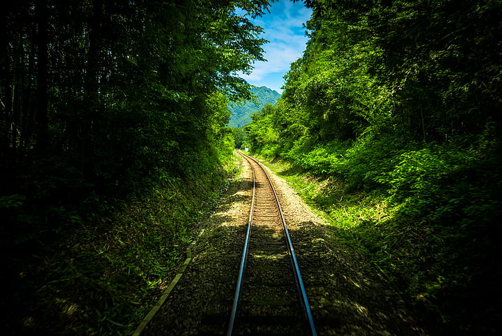đường sắt, theo dõi, màu xanh lá cây, cây, nhà máy, Thiên nhiên, đi du lịch