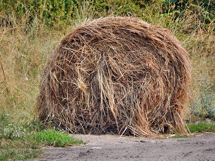 hay, rick, haystack, haymaking, harvest