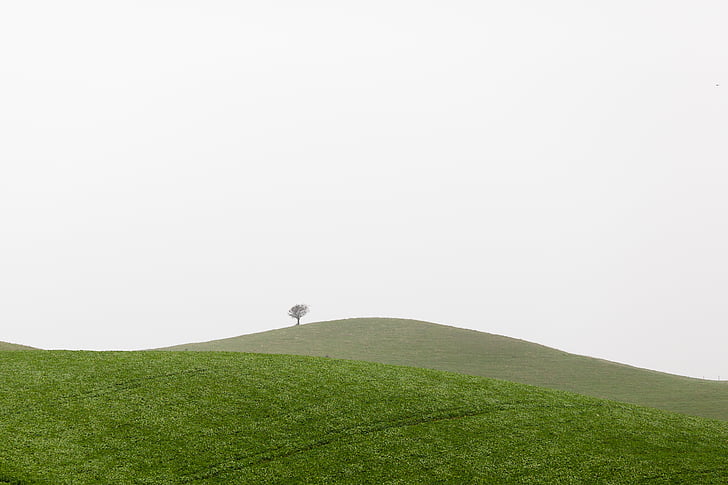 zielony, trawa, pole, biały, chmury, w ciągu dnia, krajobraz