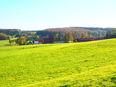 ziņoja par, laukos, Švābijas alb, lauksaimniecība, fohlenhof, fohlenhof st. johann, Hof