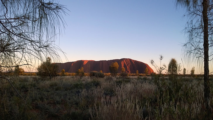 Australie, Uluru, rocher d’Ayers, rocher d’Ayers en hiver, montagne, herbe, domaine
