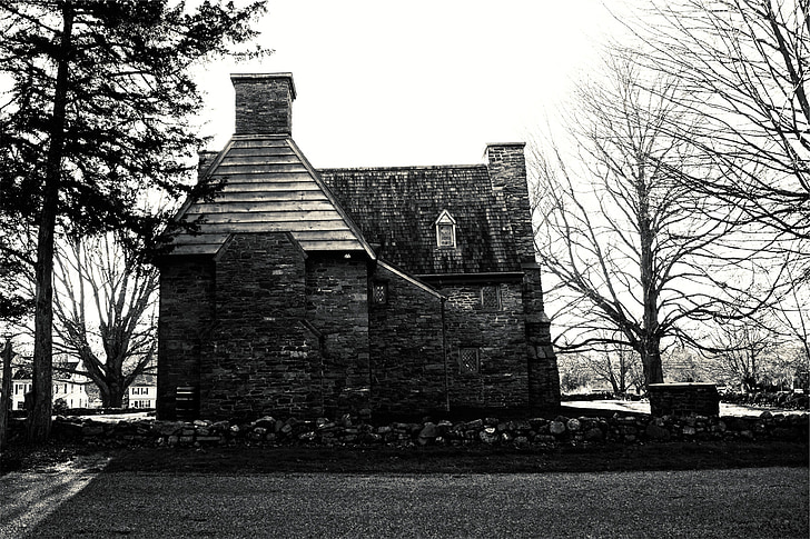 house, stones, roof, wall, black and white, trees