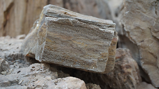 versteinertes Holz, Rock, Antike, von der Natur, Natur