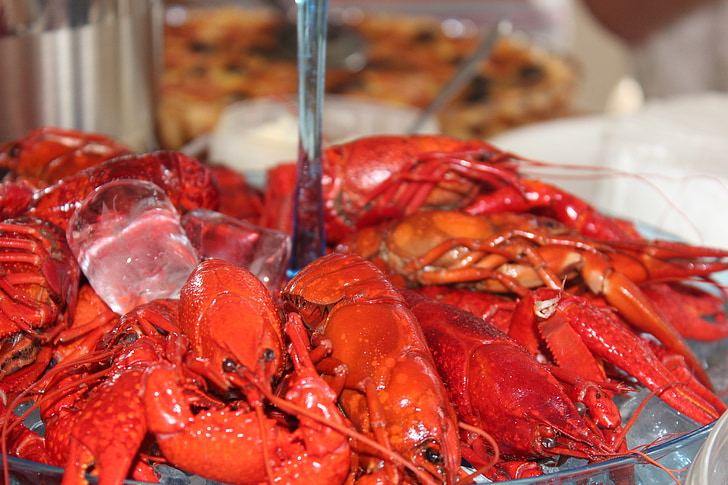 Lobster, Fest, menggigil, kanker, merah, laras, penyelenggaraan