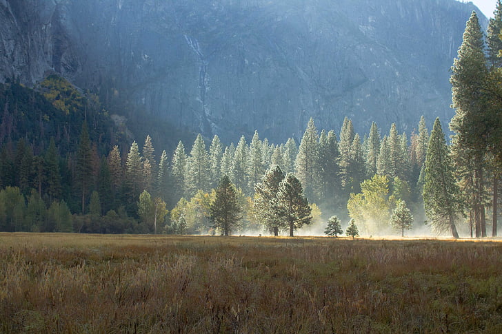 yosemite, mist, field, california