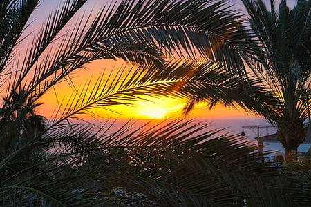 Palma, Barat, laut, matahari terbenam, malam, hari libur, liburan