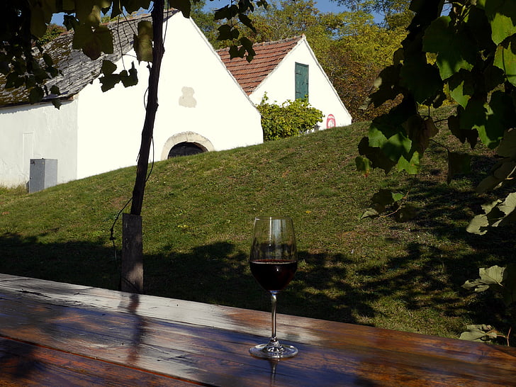 червено вино, стъкло, купа, таблица, лоза, трева, дървета