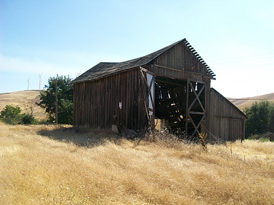 barn, shed, cabin, nature, wooden, summer field, grass