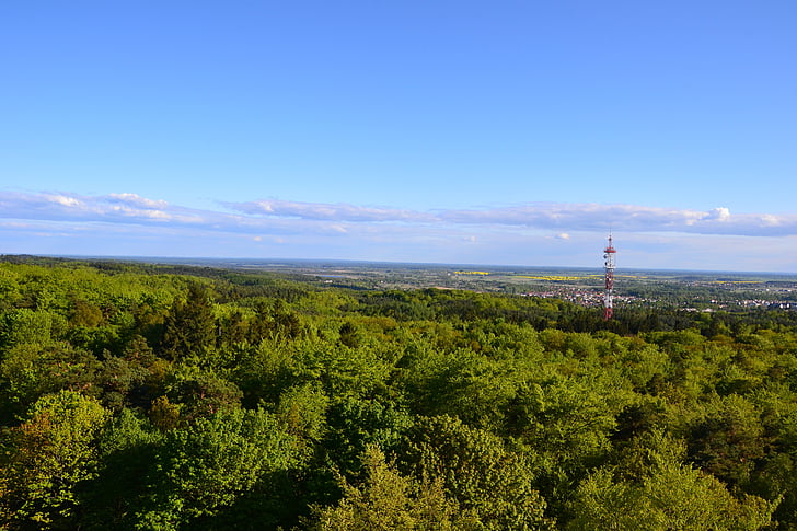 krajina, obloha, strom, Polsko, svátek, pohled, modrá