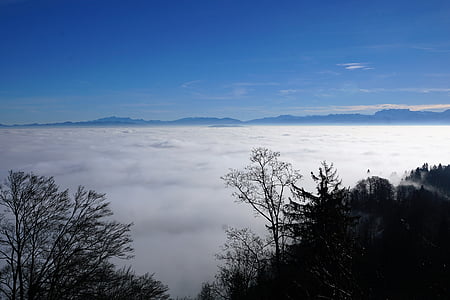 Uetliberg, Zurich, Suisse, montagne, brouillard, nature, paysage