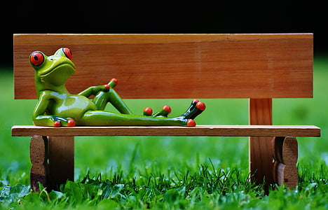 frog, bank, bench, relaxed, figure, funny, rest