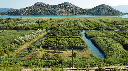 estuaire de la Neretva, irrigation, gestion