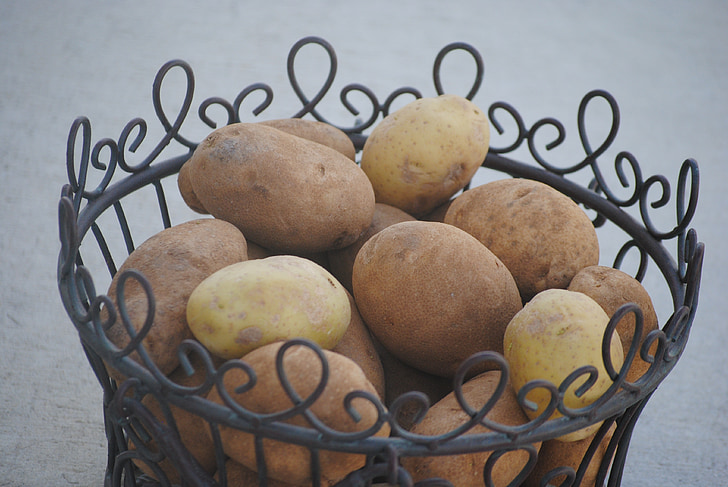 potato, basket, food, vegetable, harvest, organic, raw
