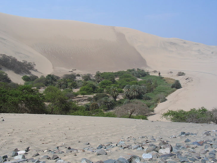 Pustynia, Peru, Oasis, piasek, drzewa, Natura, góry