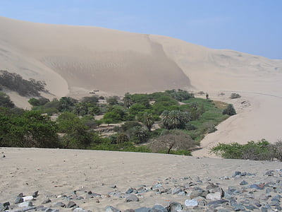 deserto, Peru, oásis, areia, árvores, natureza, montanha