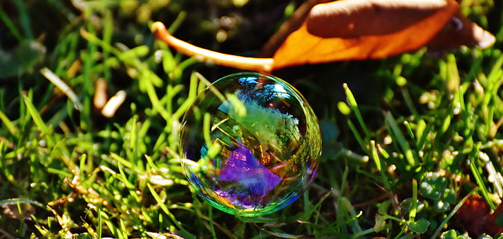 mydlová bublina, farebné, lúka, tráva, gule, mydlovou vodou, robiť bubliny