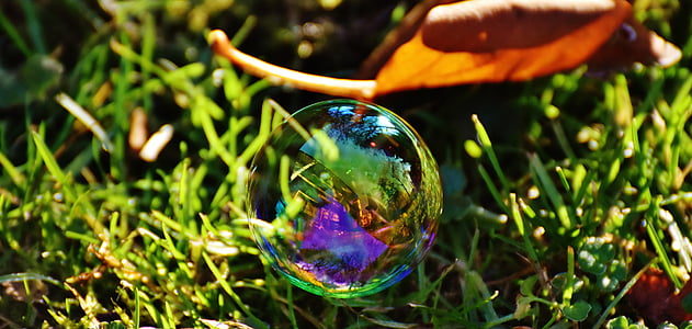 Мильна бульбашка, барвистий, Луговий, трава, кулі, мильною водою, зробити мильних бульбашок