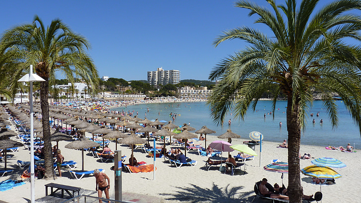 Verão, sol, praia, Peguera, férias, Palm, parasol