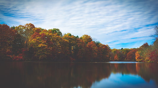 lake, trees, reflection, autumn, fall, sky, scenic