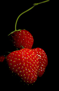 jordbær, frugt, rød, Sød, bær, haven, plante