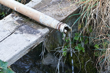 トリクル, 水, 実行している水, 少し, 入口, 小さな小川, 木材・素材