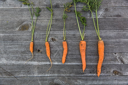 five, carrots, grey, wooden, surface, orange, vegetables