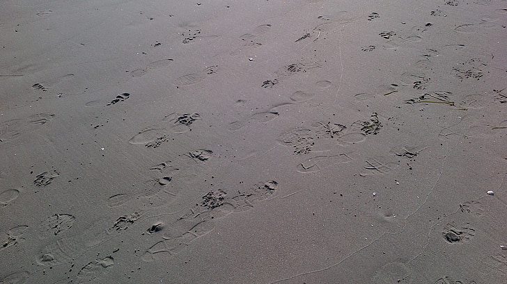 traces, footprints, beach
