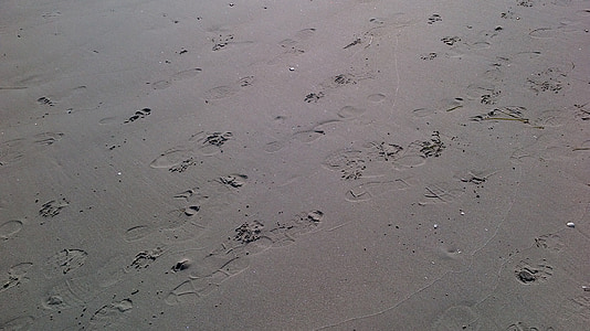 spår, fotspår, stranden