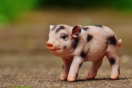 piglet, figure, cute, deco, animal, sweet, pig