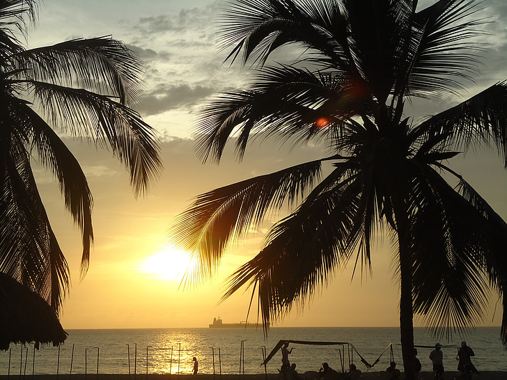 puesta de sol, Playa, Palmas