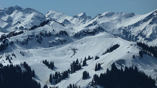 alpin, Allgäu, neunerköpfle, hiver, neige, montagnes, hivernal